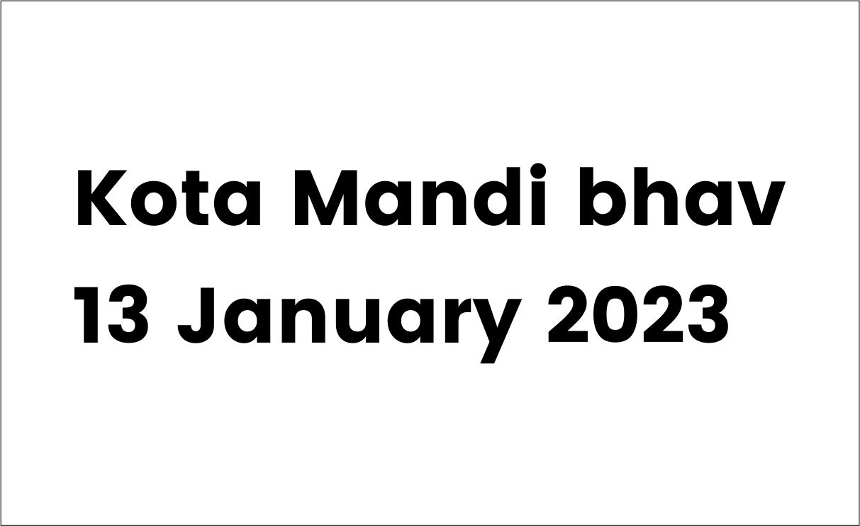Kota Mandi bhav 13 January 2023 कोटा मंडी भाव 13 जनवरी 2023: सरसों, सोयाबीन, धान और गेहूं में उछाल