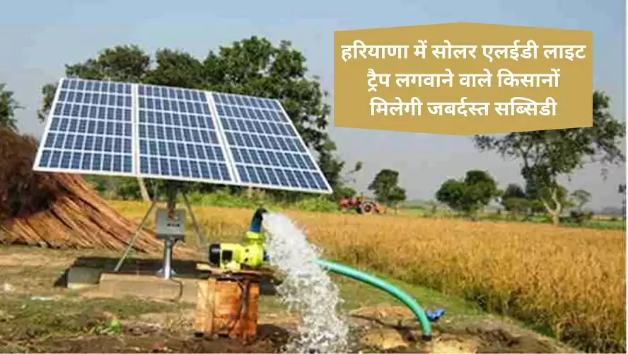 Farmers who install solar LED light trap in Haryana will get huge subsidy, register soon on the portal, know how much benefit will be available