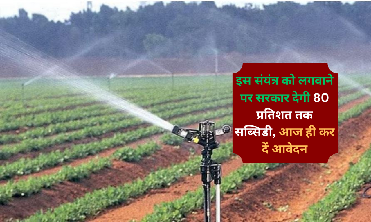 Haryana Government Scheme: हरियाणा में कम पानी वाले क्षेत्रों मे लहलाएगी फसलें, इस संयंत्र को लगवाने पर सरकार देगी 80 प्रतिशत तक सब्सिडी, आज ही कर दें आवेदन