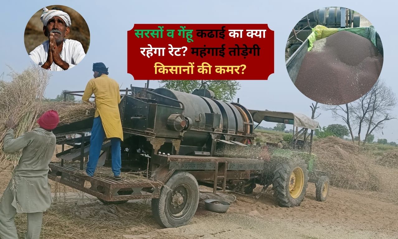 Sirsa Farmer News: इस बार सरसों व गेंहू कढाई का क्या रहेगा रेट? महंगाई तोड़ेगी किसानों की कमर?