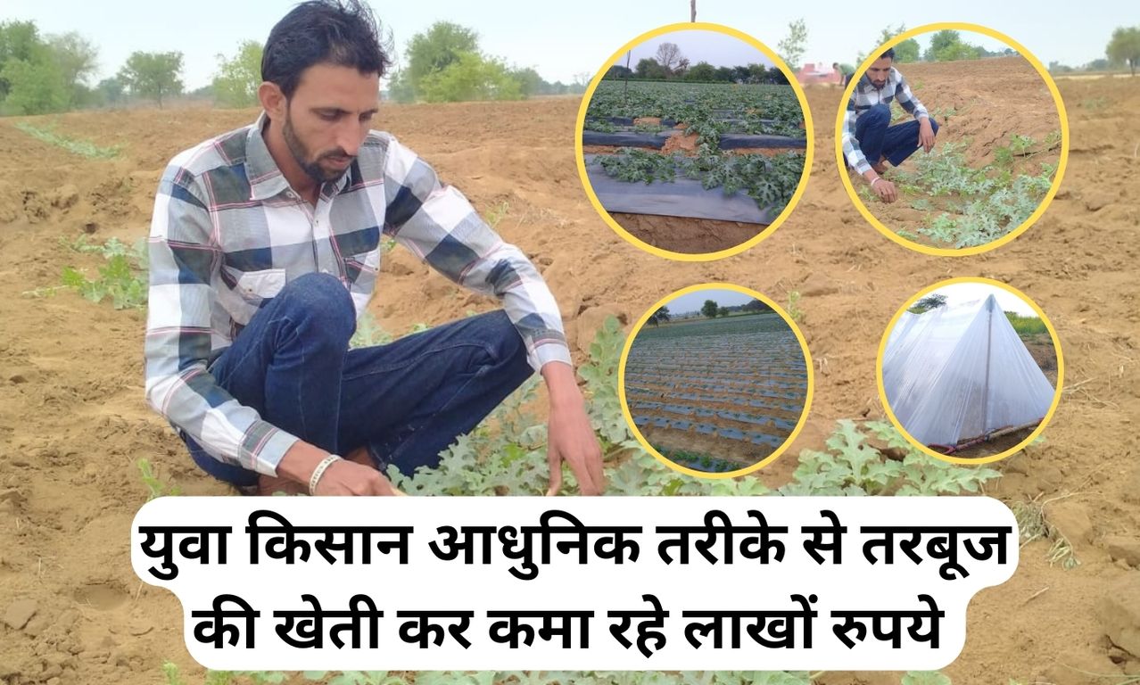 Watermelon Farming: गुडिया खेड़ा के युवा किसान आधुनिक तरीके से तरबूज की खेती कर कमा रहे लाखों रुपये 