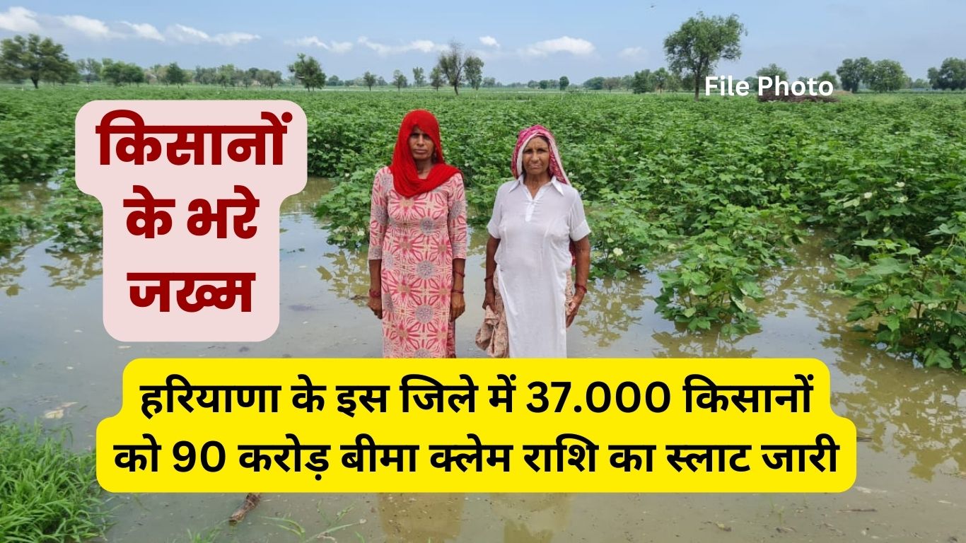 हरियाणा के इस जिले में 37.000 किसानों को 90 करोड़ बीमा क्लेम राशि का स्लाट जारी, किसानों के भरे जख्म