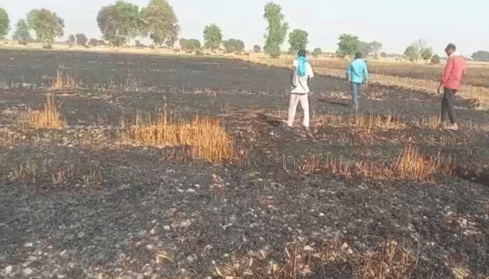 गेहूं में आग लगने से 2 एकड़ फसल जलकर हुई राख, दमकल गाड़ी ने मुश्किल से पाया आग पर काबू