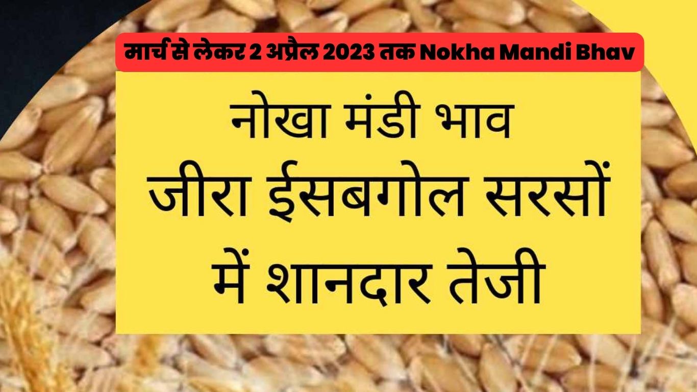 नोखा आज का मंडी भाव, मार्च से लेकर 2 अप्रैल 2023 तक Nokha Mandi Bhav
