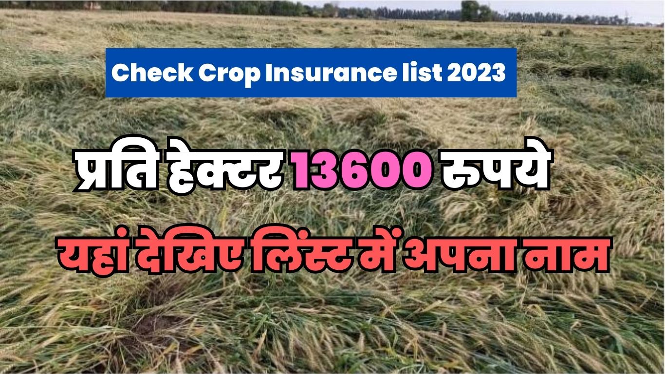 Check Crop Insurance list 2023: इन किसानों के खातें में जमा होगा प्रति हेक्टर 13600 रुपये, यहां देखिए लिंस्ट में अपना नाम