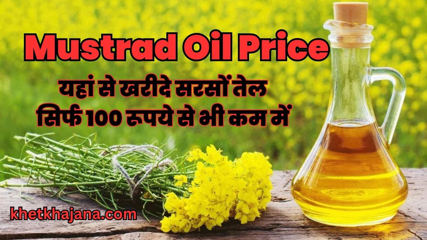 Mustrad Oil: यहां से खरीदे सरसों तेल सिर्फ 100 रूपये से भी कम में, जानिए पूरी खबर