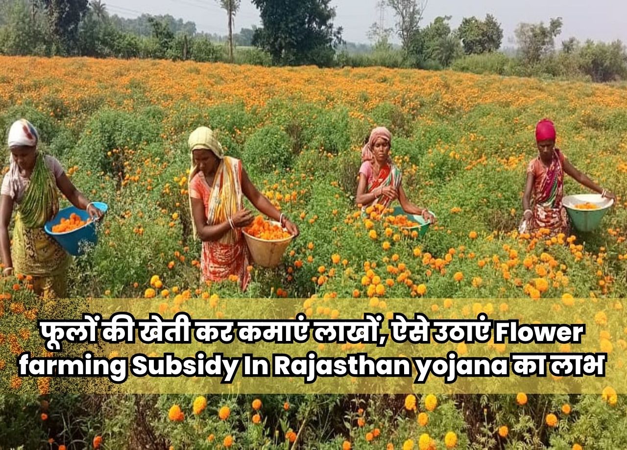 Subsidy: राज्य सरकार इन फूलों की खेती दे रही 40% सब्सिडी, किसानों को मिलेगा मोटा लाभ! जानिए ये स्कीम....