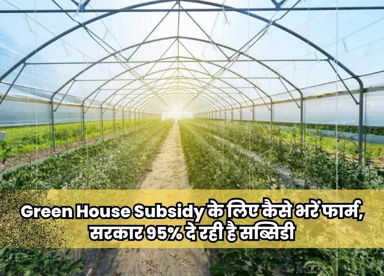 Green House Subsidy सरकार 95% दे रही है सब्सिडी जानिए कैसे भरें फार्म