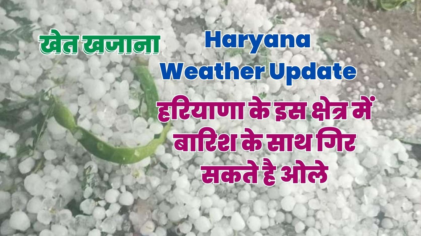 Haryana Weather Update : हरियाणा के इस क्षेत्र में बारिश के साथ गिर सकते है ओले